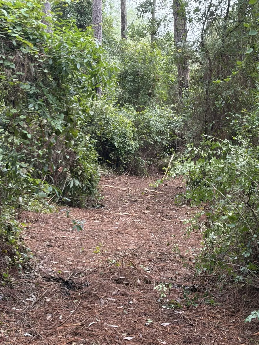 Forestry mulching