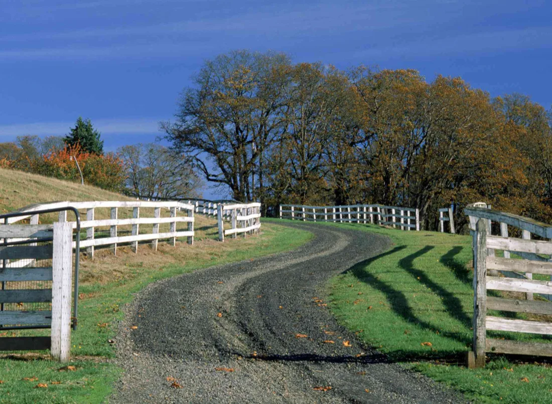 Gravel driveway