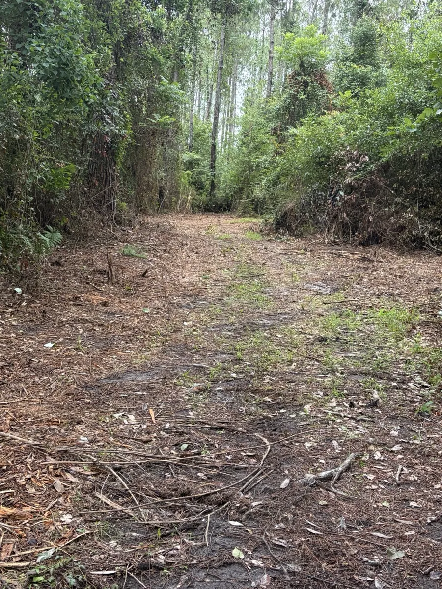 Land clearing